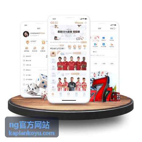 ng官方网站使用指南中的配置检查清单示意