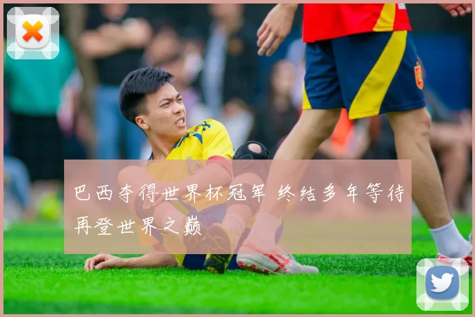 巴西夺得世界杯冠军 终结多年等待再登世界之巅
