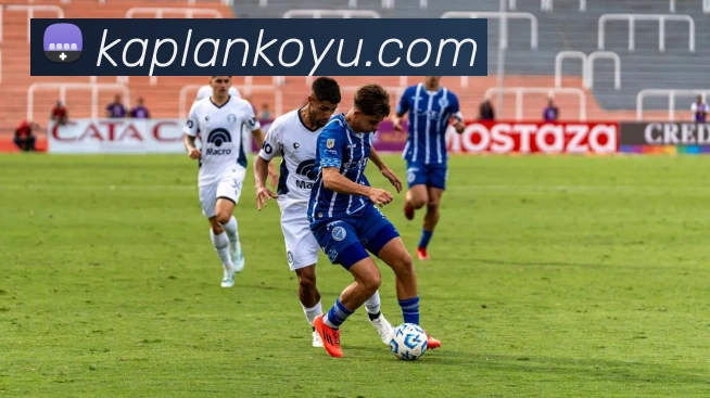 完美体育唯一官网平台生态图