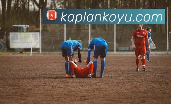 完美体育唯一官网全站App 完美体育唯一官网全站App